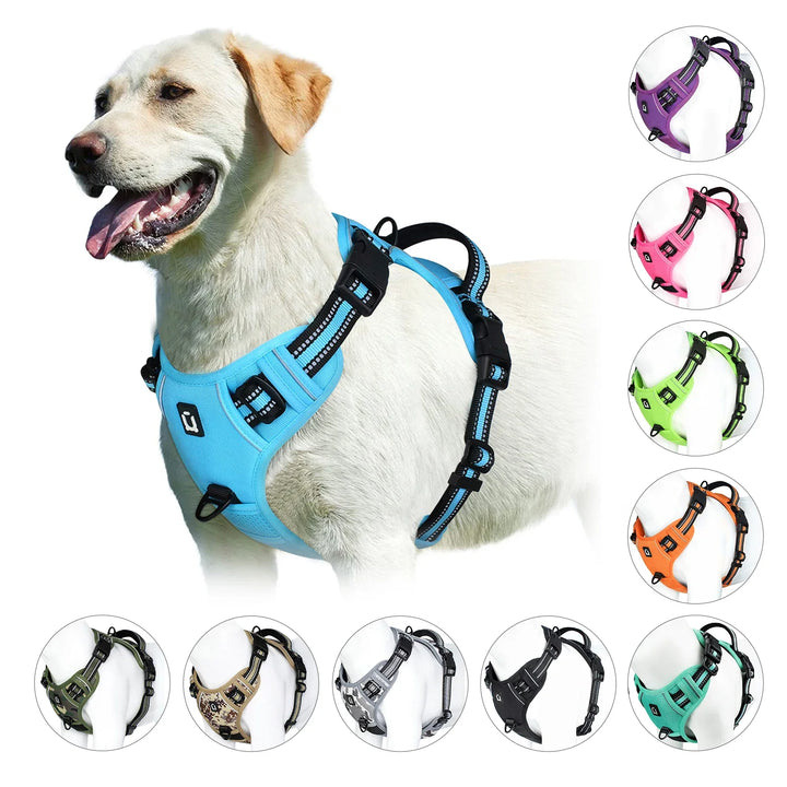 GentleStep | Adjustable Dog Harness for Comfort
