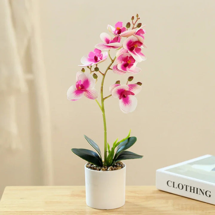 BonsaiBloom | Elegant Artificial Orchids