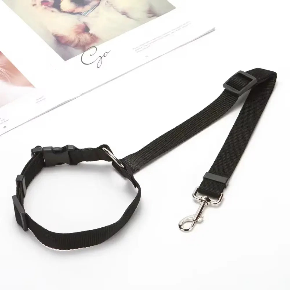 CarSecure | Adjustable Nylon Dog Seat Belt & Harness