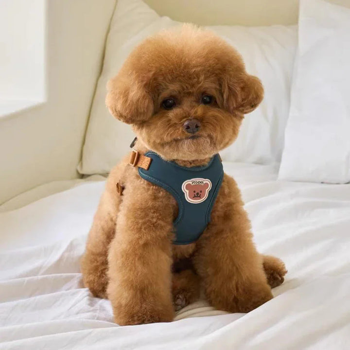 BearHugFit | Cute Adjustable Harness & Leash