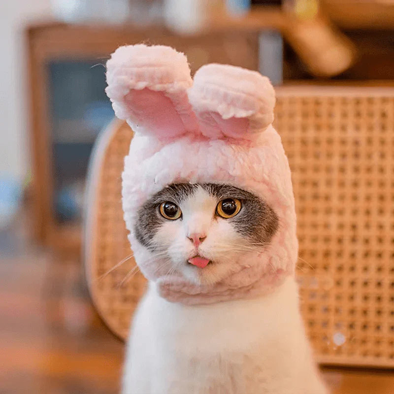Winter Hat for Pets - Cute Bear and Rabbit Cosplay Hood for Dogs and Cats
