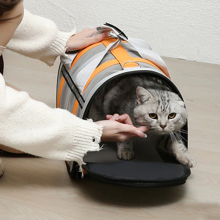 ComfyPaws | Foldable Pet Carrier