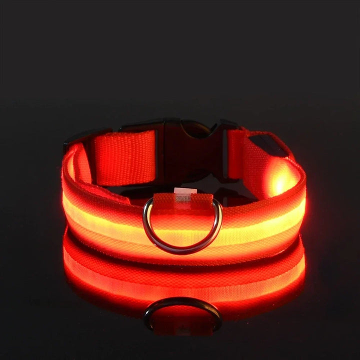 GlowPaws | LED Flashing Dog Collar for Night Safety