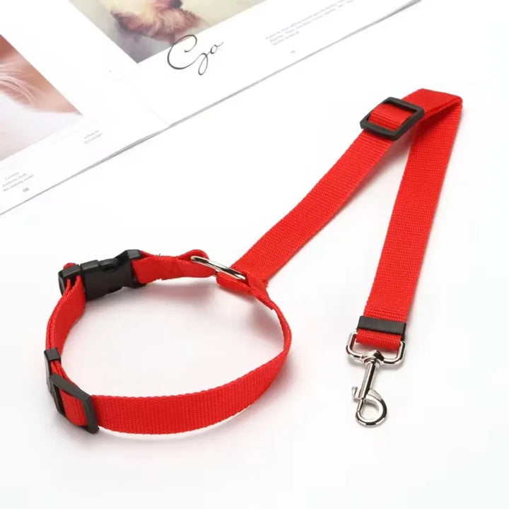 CarSecure | Adjustable Nylon Dog Seat Belt & Harness