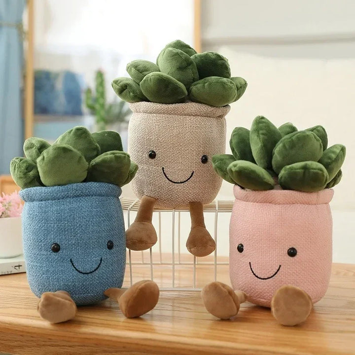 PlantPals | Creative Plant Cuddle