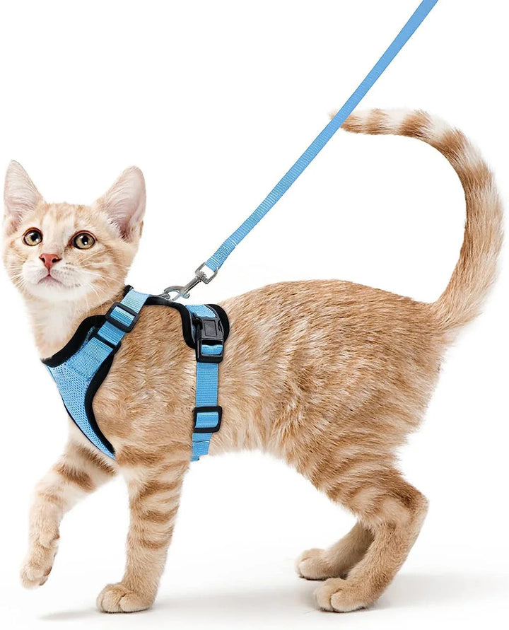 CatVoyage | Soft and Safe Walking Harness