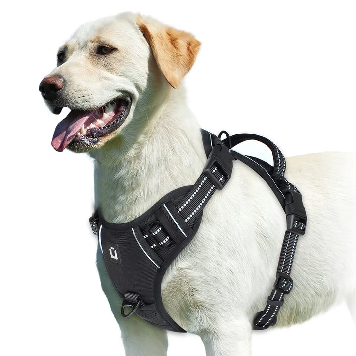 GentleStep | Adjustable Dog Harness for Comfort