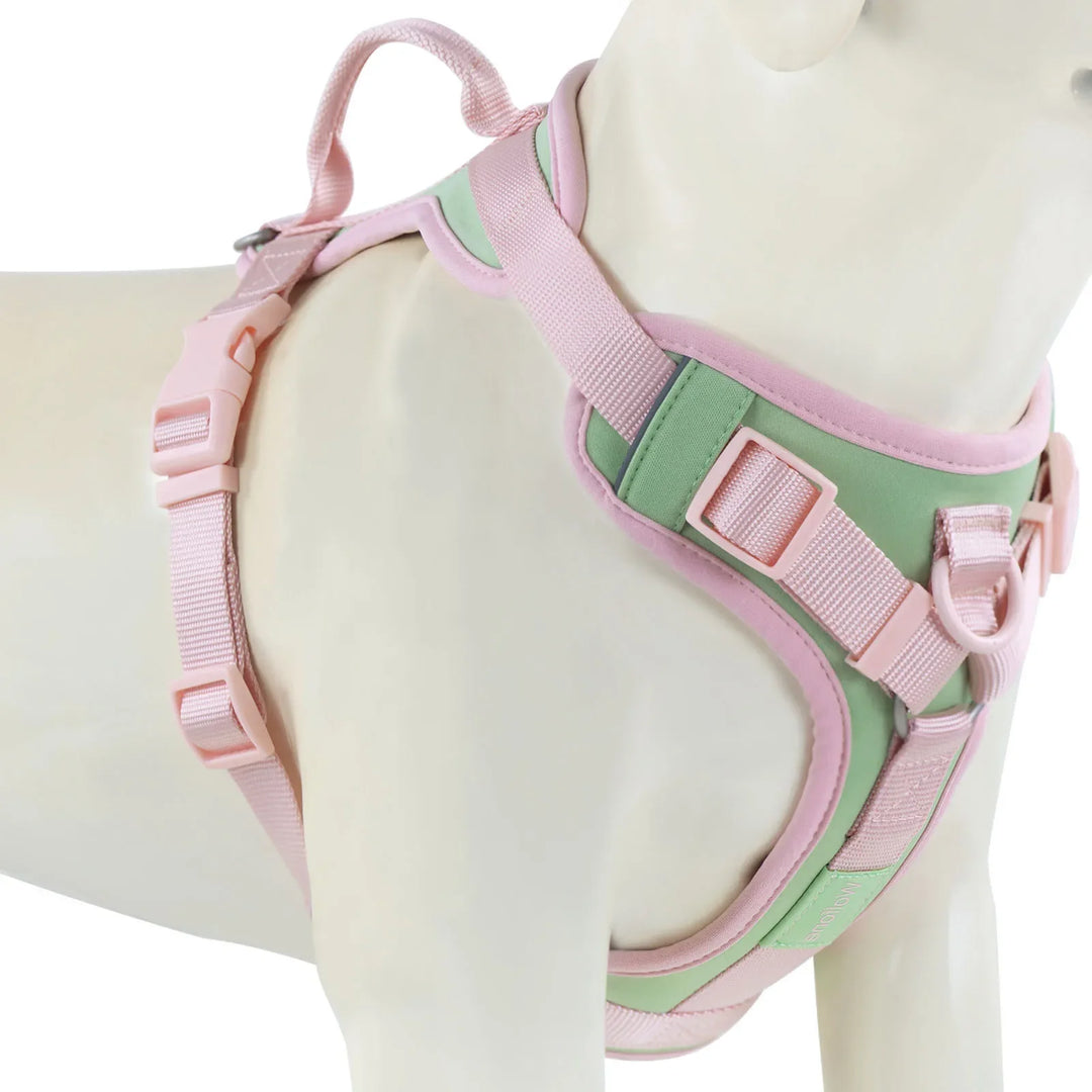 LuxuryFit | Adjustable Dog Harness for Large and Small Dogs
