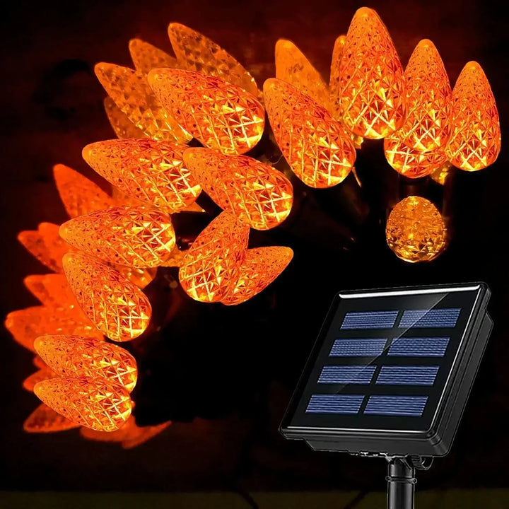 ChristmasFruit | Solar Lights for the Holidays