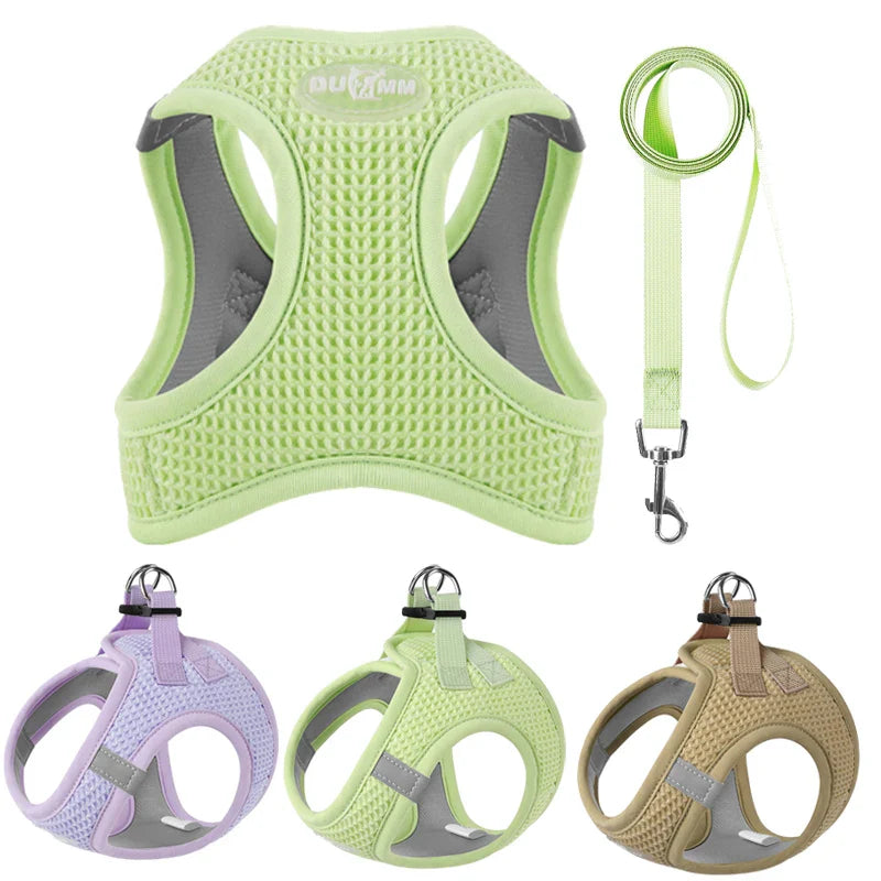 PawStrideFit | Reflective Harness & Leash for Pets