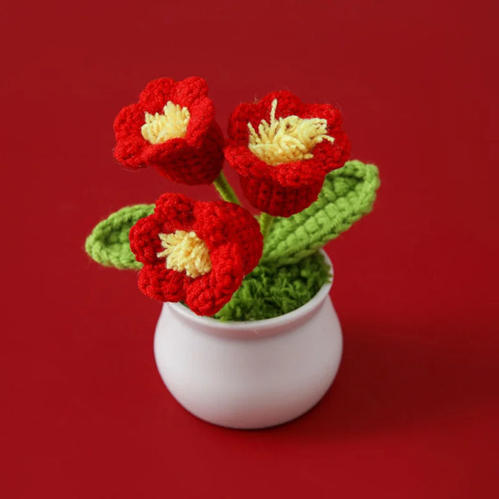 WoolFlower | Decorative Potted Plant