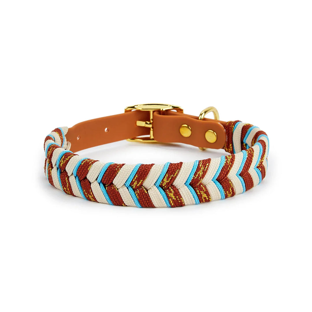 DivaDraag | Colorful Dog Collar for Adventures