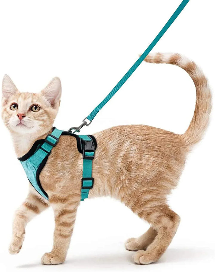 CatVoyage | Soft and Safe Walking Harness