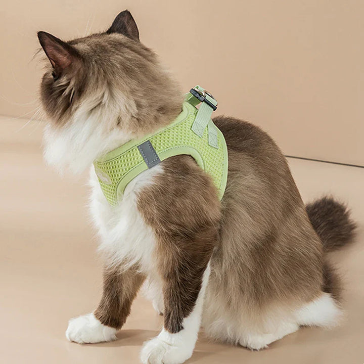 PawStrideFit | Reflective Harness & Leash for Pets