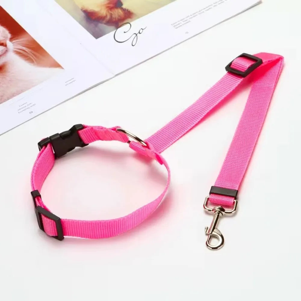CarSecure | Adjustable Nylon Dog Seat Belt & Harness