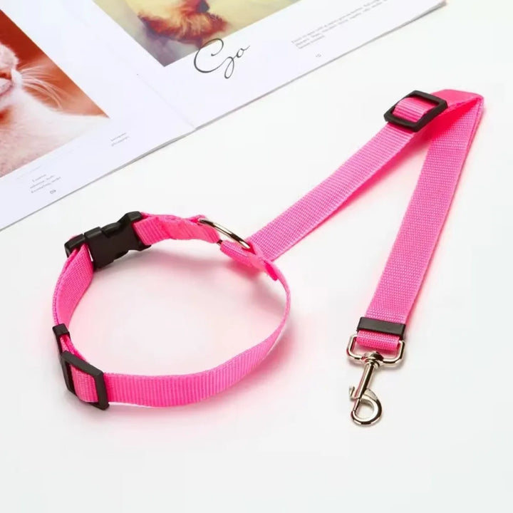 CarSecure | Adjustable Nylon Dog Seat Belt & Harness