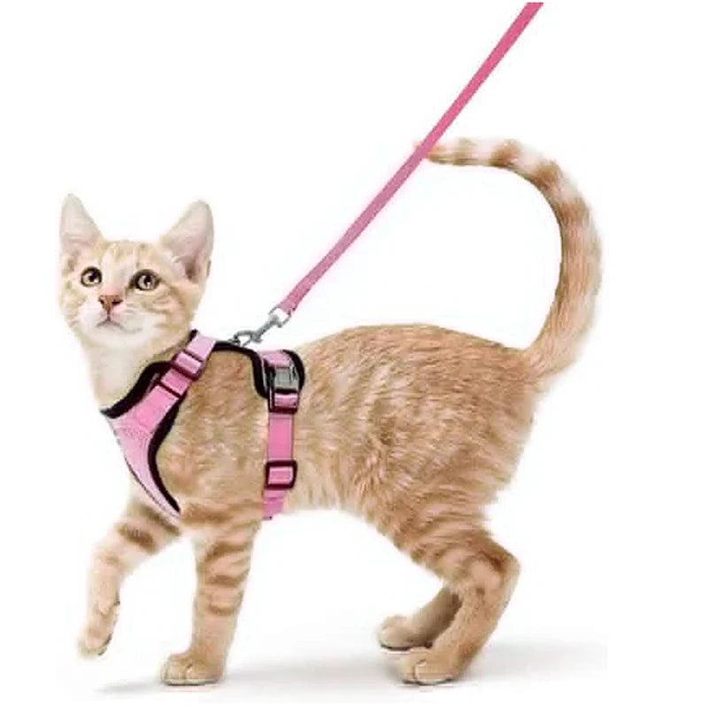 CatVoyage | Soft and Safe Walking Harness
