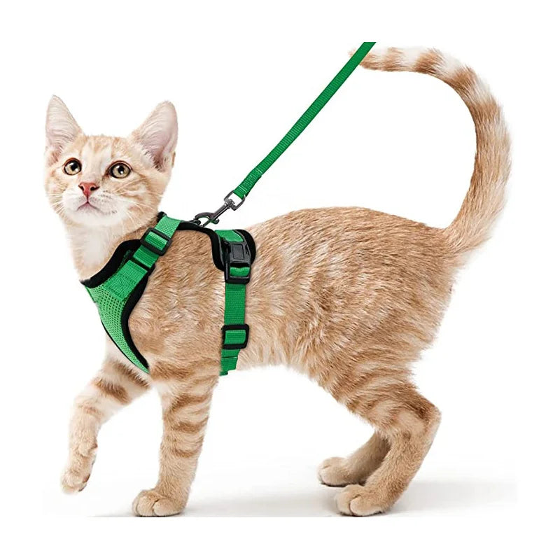 CatVoyage | Soft and Safe Walking Harness