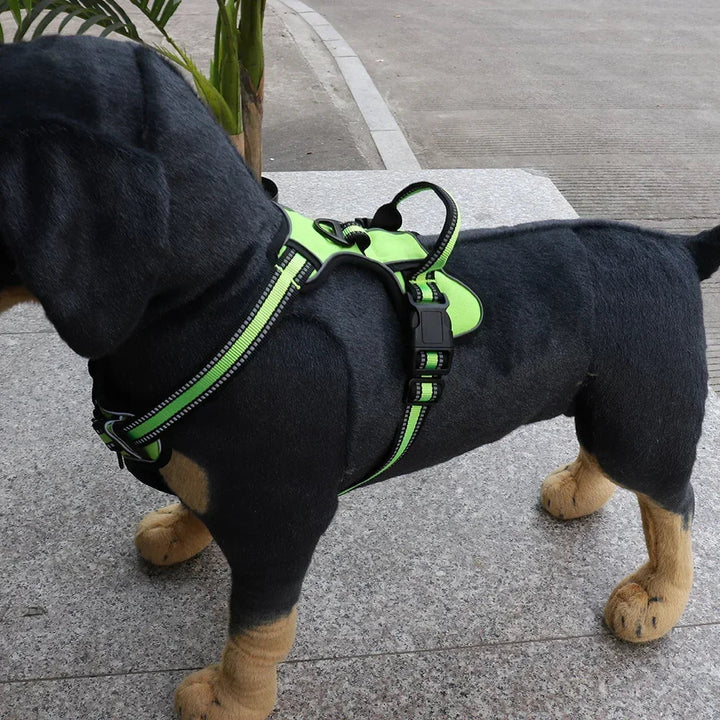 FlexiFit | Adjustable Nylon Dog Harness
