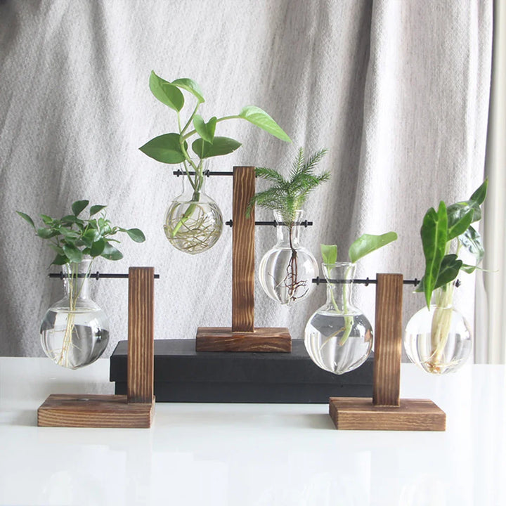 GlowPlant | Glass Table Plant Lamp