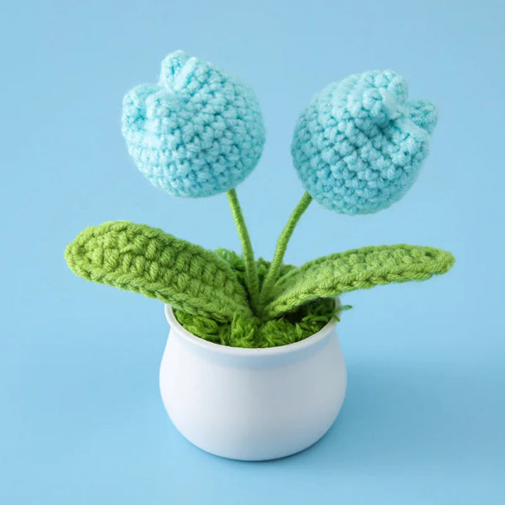 WoolFlower | Decorative Potted Plant