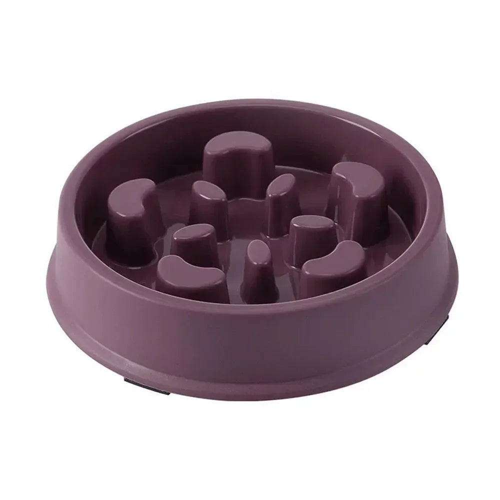 ChokeGuard | Anti-Choking Slow Feeder Bowl