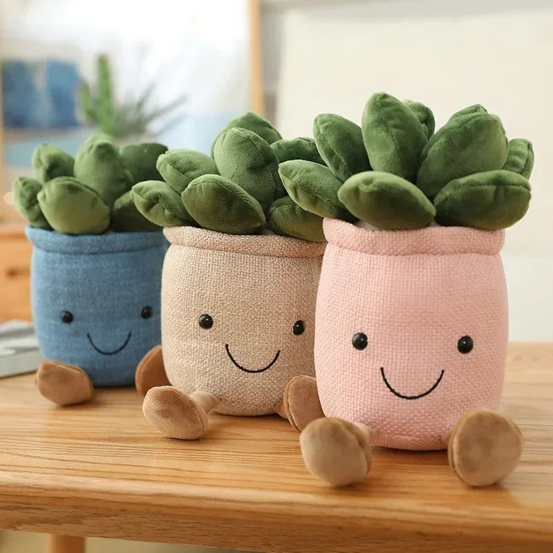 PlantPals | Creative Plant Cuddle