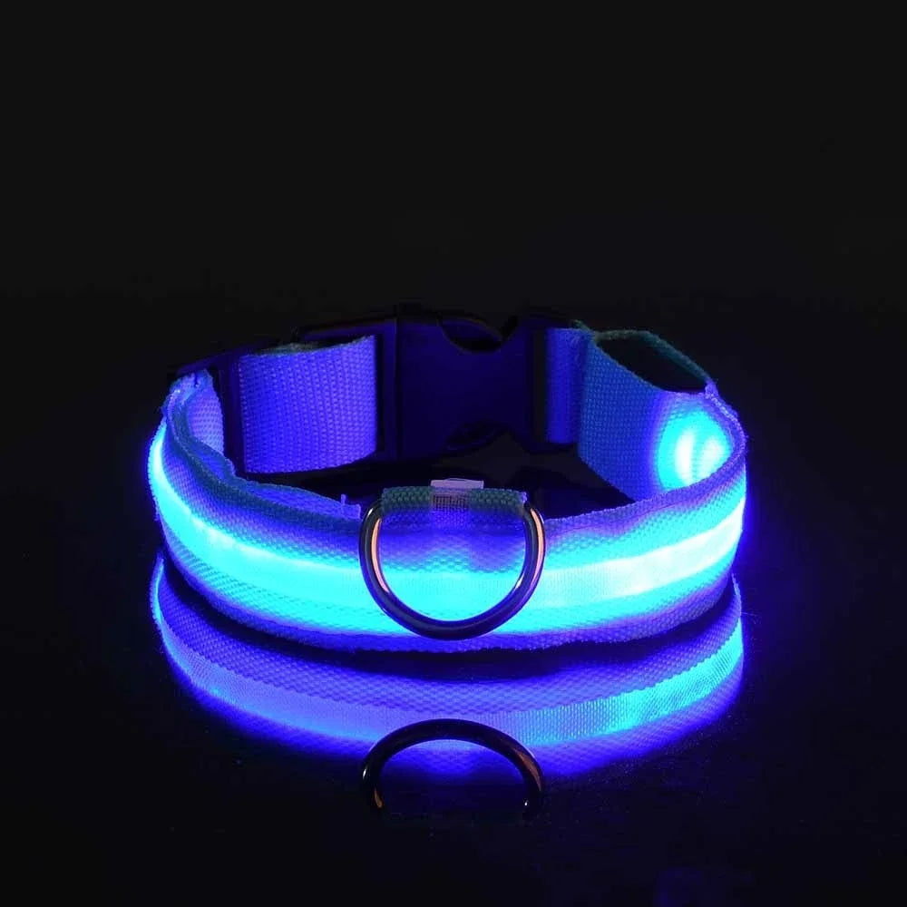 GlowPaws | LED Flashing Dog Collar for Night Safety