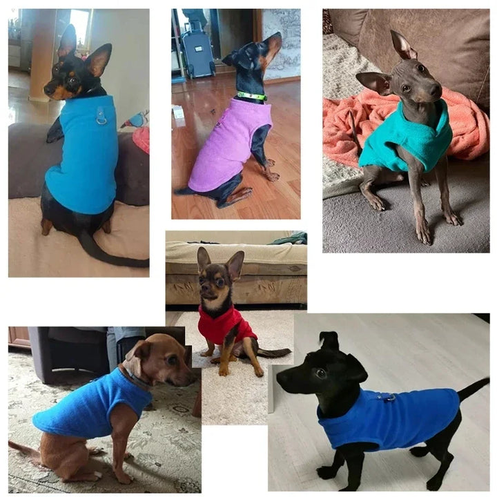 FleecePaw | Warm Dog Jacket for Small Dogs