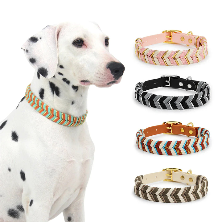 DivaDraag | Colorful Dog Collar for Adventures