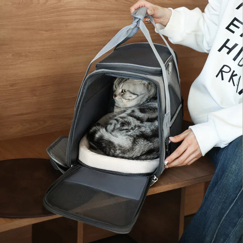 FlexiPet | Portable Pet Carrier for Travel
