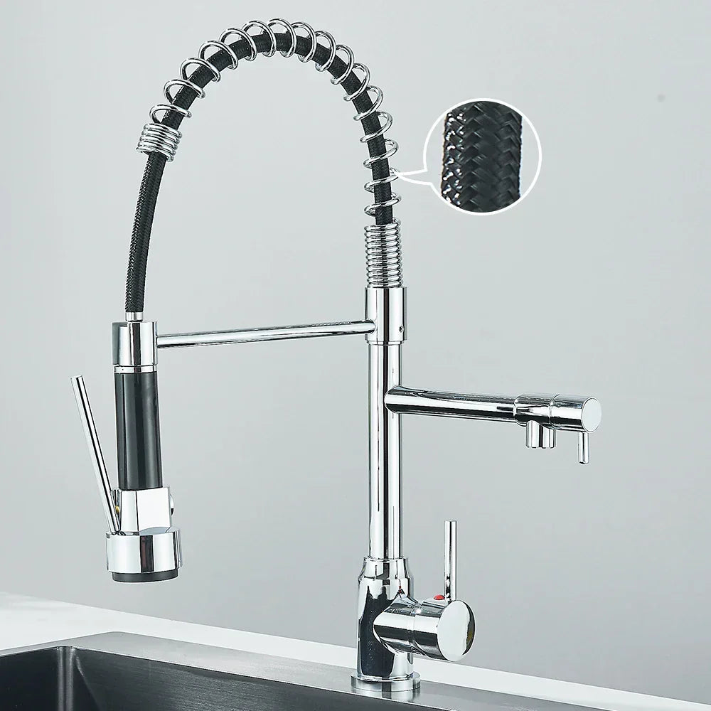 AquaDuoFlow | Versatile Kitchen Faucet with Double Spout