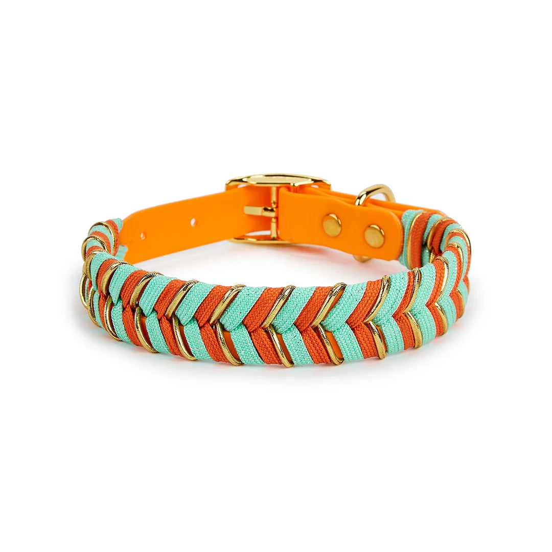 DivaDraag | Colorful Dog Collar for Adventures