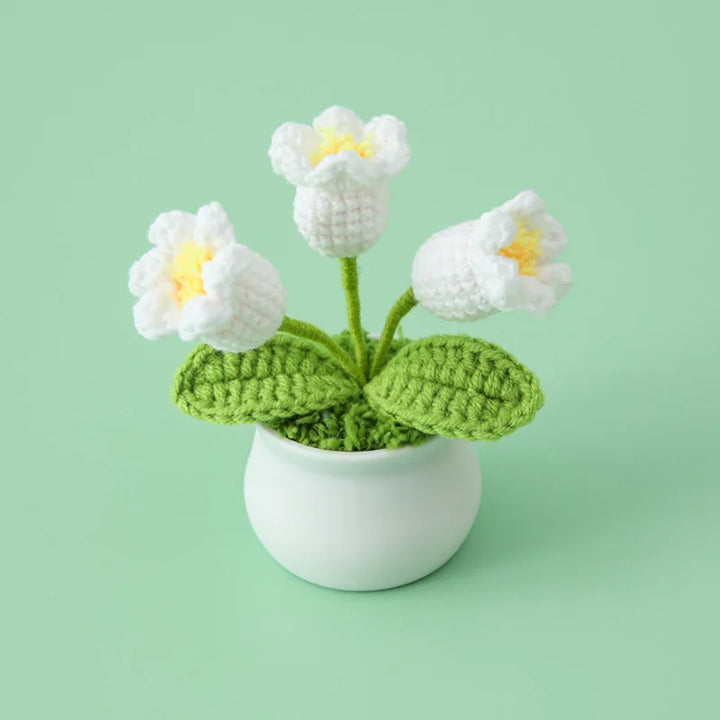 WoolFlower | Decorative Potted Plant