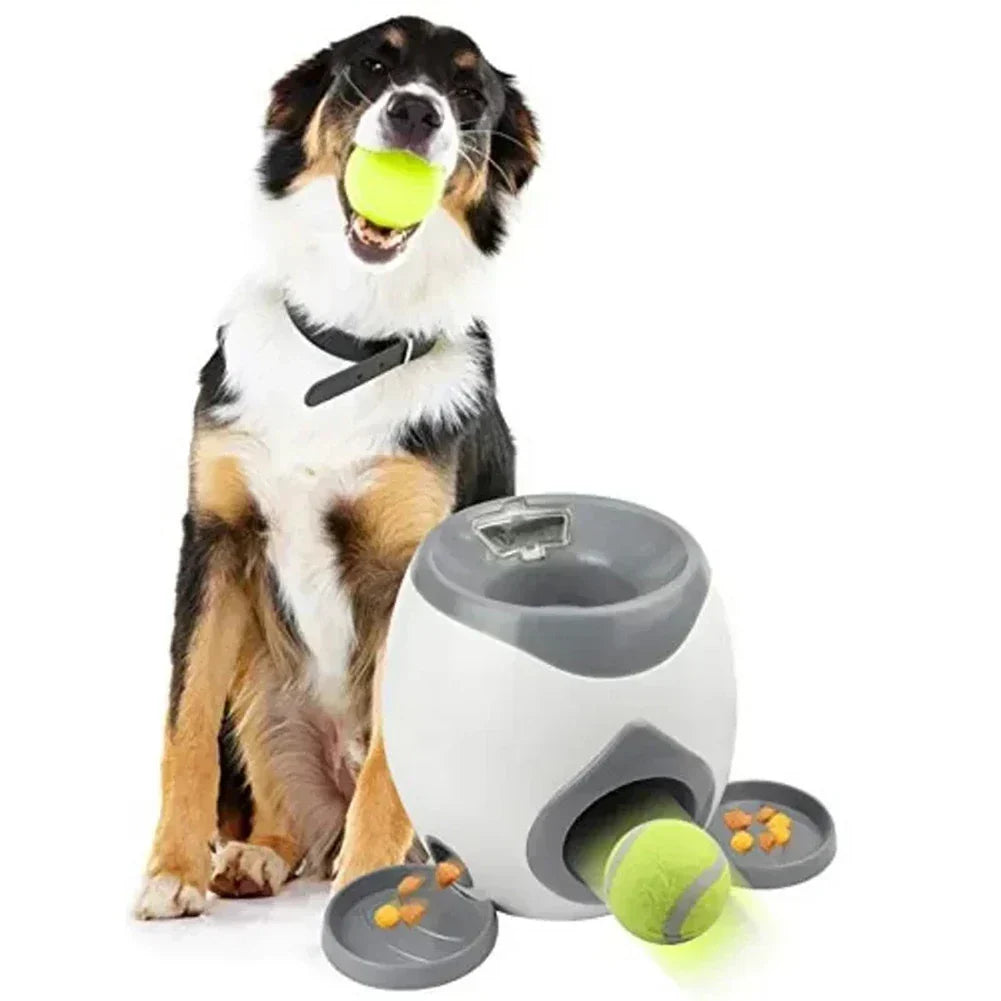 Keep your dog active and happy - physical and mental stimulation - automatic play fun - Playmate