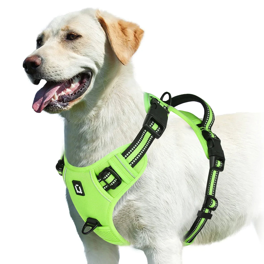 GentleStep | Adjustable Dog Harness for Comfort