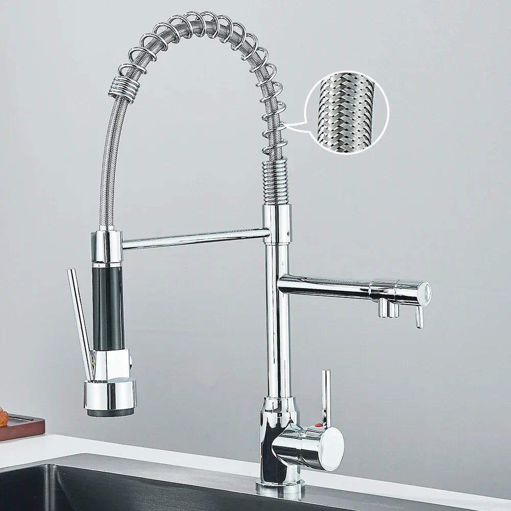 AquaDuoFlow | Versatile Kitchen Faucet with Double Spout