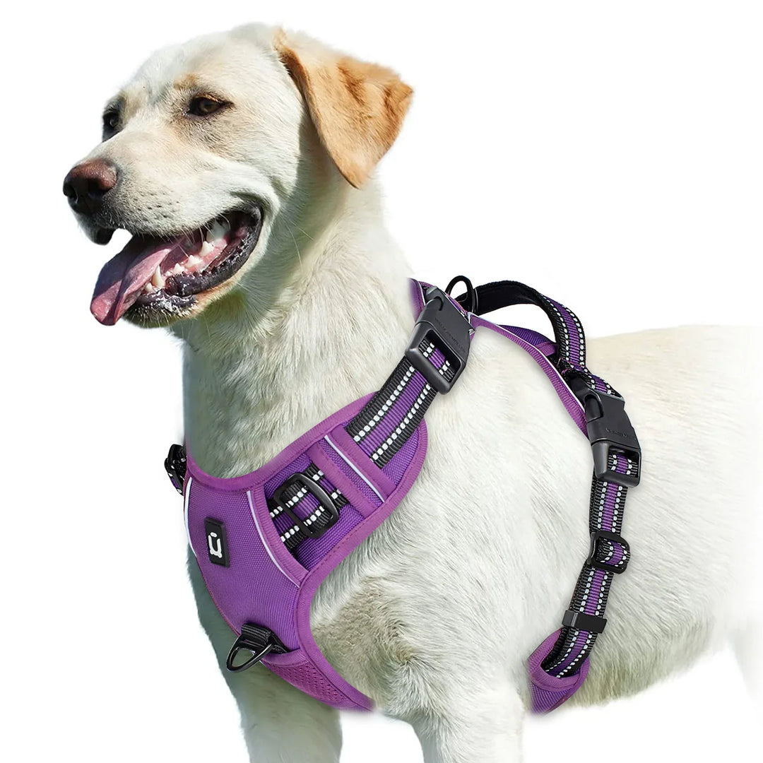 GentleStep | Adjustable Dog Harness for Comfort