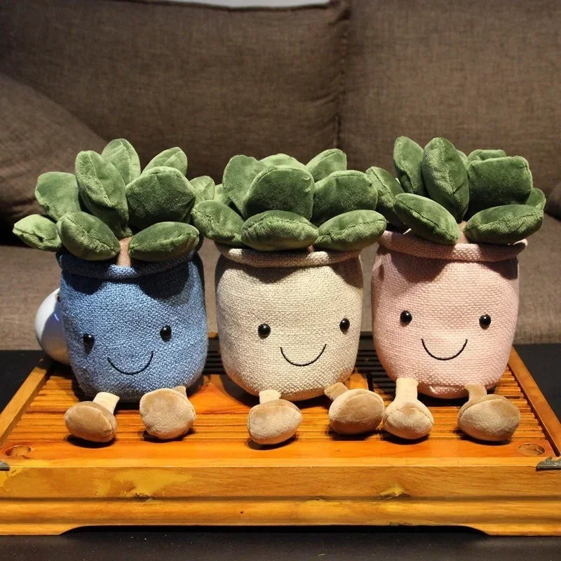 PlantPals | Creative Plant Cuddle