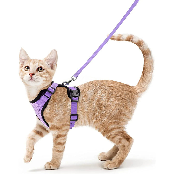 CatVoyage | Soft and Safe Walking Harness