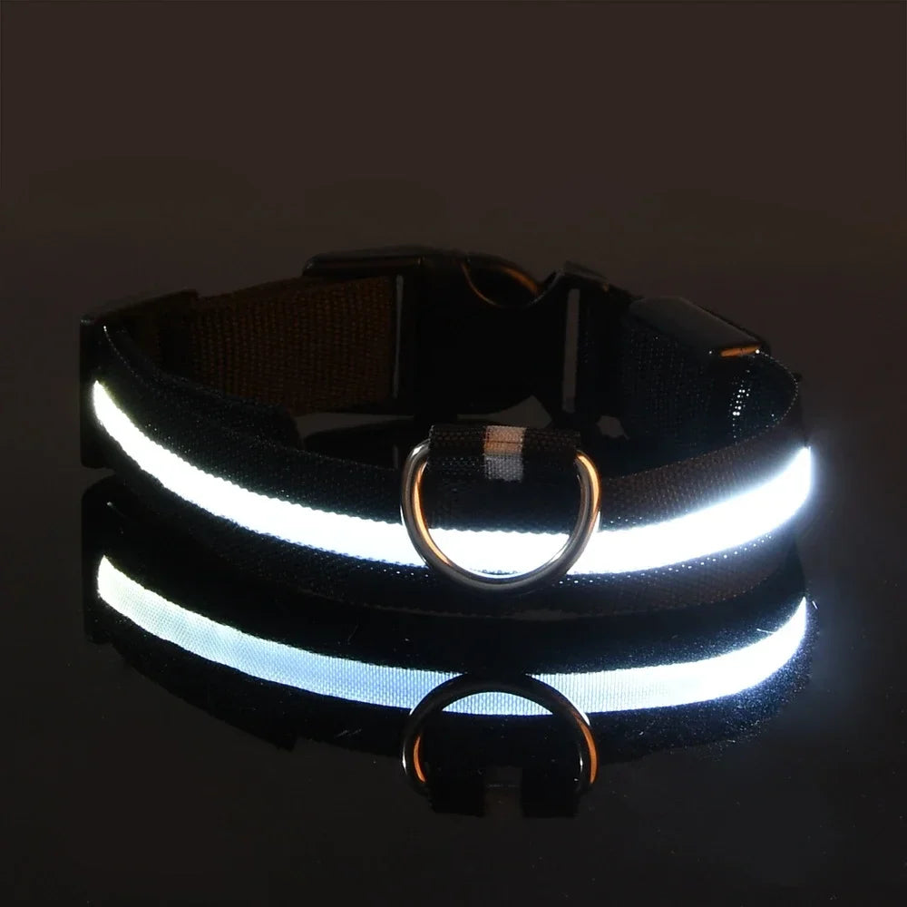 GlowPaws | LED Flashing Dog Collar for Night Safety
