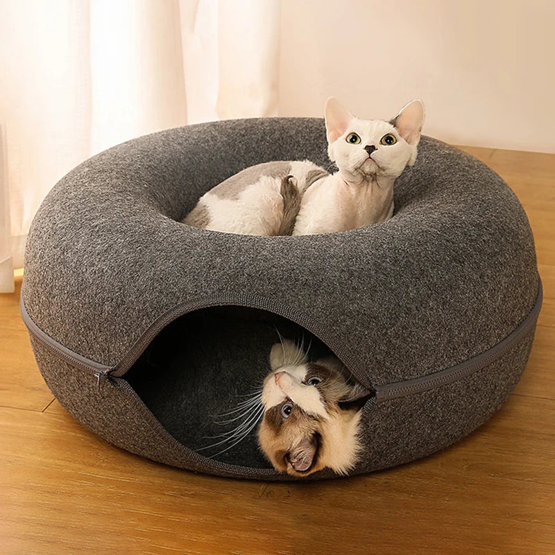 DonutDroom | Luxury Cat Bed for Two with Interactive Tunnel
