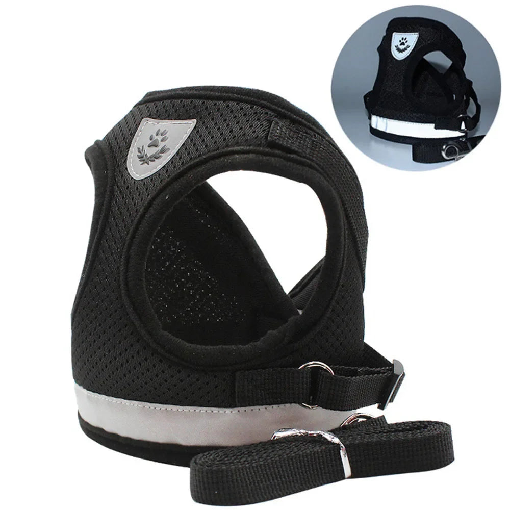PurrStrap | Adjustable Harness for Cats with Reflection