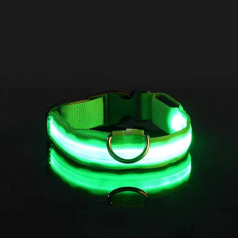 GlowPaws | LED Flashing Dog Collar for Night Safety