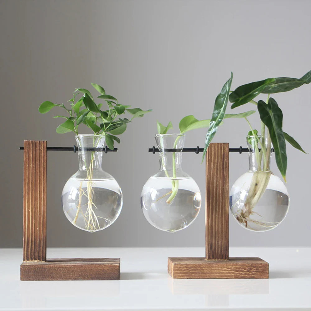 GlowPlant | Glass Table Plant Lamp
