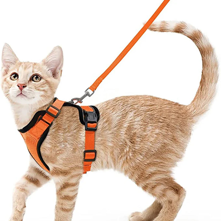 CatVoyage | Soft and Safe Walking Harness