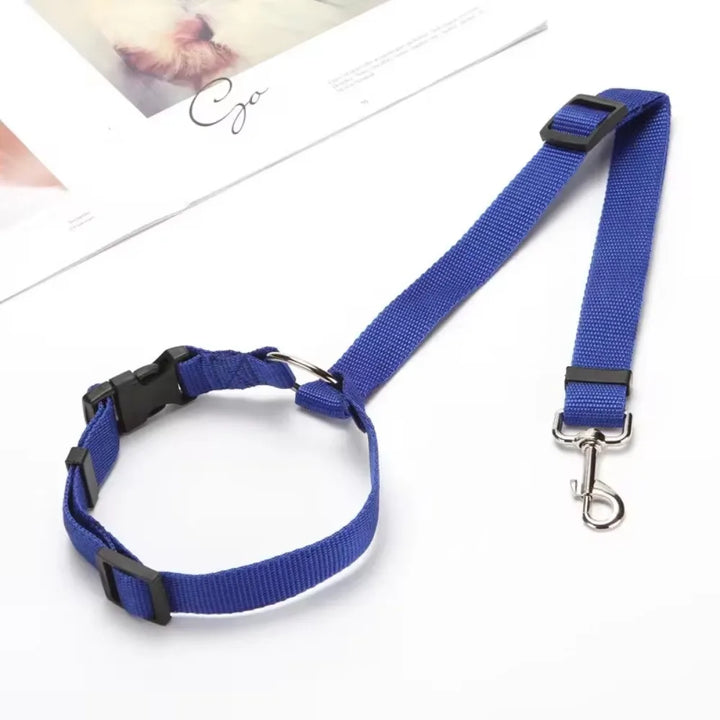 CarSecure | Adjustable Nylon Dog Seat Belt & Harness