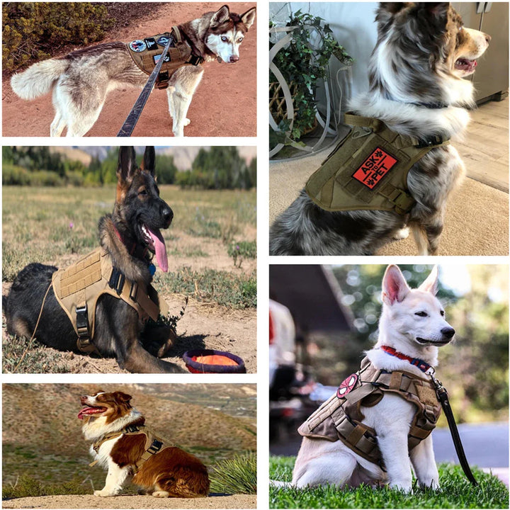 GuardPaw | Tactical Dog Harness and Leash Set