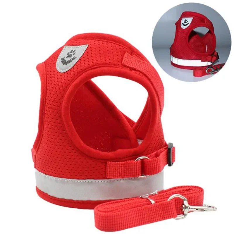 SnugWalk | Mesh Harness and Leash for Comfortable Walks