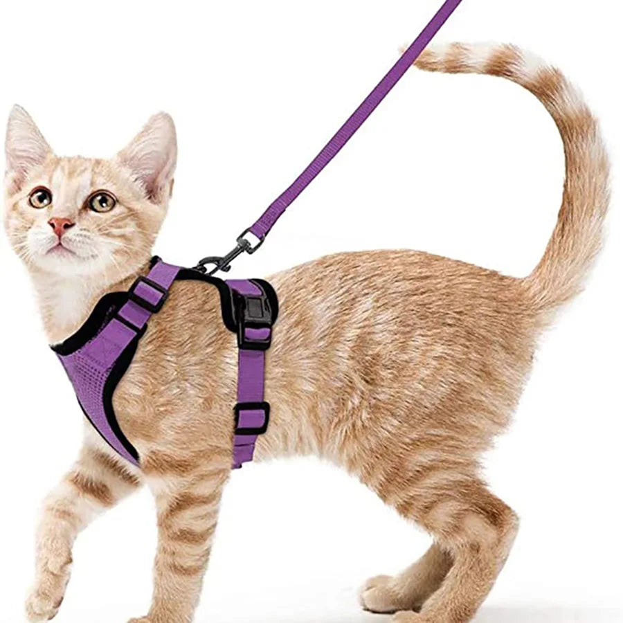 CatVoyage | Soft and Safe Walking Harness